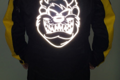taz-jacket-3-cropped